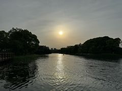 -新江湾城公园
