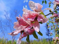 -陕西省西安植物园