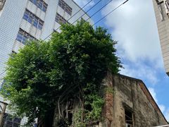 -海口骑楼老街历史文化街区