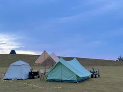 -春花秋色城市公园