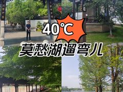 -莫愁湖公园