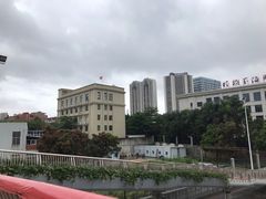 -榕树下海鲜馆(坪山路店)