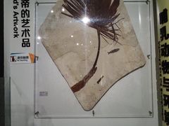 -正佳自然科学博物馆