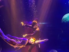 -顺德南宏海立方海洋公园
