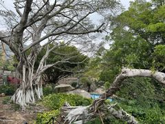 -胡里山炮台