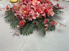 -清真军邺·金富苑肥牛城(海湖新区精品店)