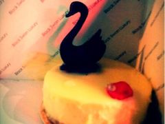iphone_upload_pic-BLACKSWAN黑天鹅(环球店)
