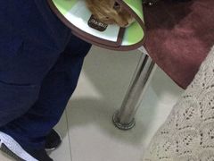 -佳雯宠物医院(金华南路分院)