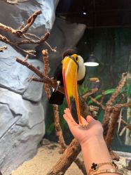 -Zoolung Zoolung动物主题公园(海信广场店)