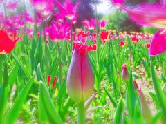 -长春公园(普阳街道)