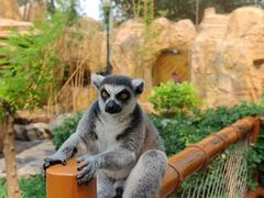 -北京野生动物园