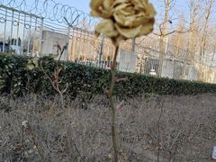 -清华大学玉泉医院