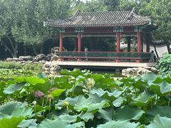 -宣武艺园