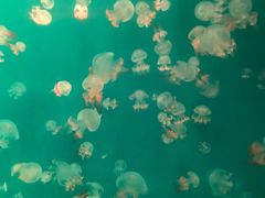 -福州罗源湾海洋世界旅游区