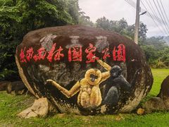 -海南霸王岭国家森林公园