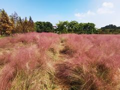 -下渚湖国家湿地公园科普馆