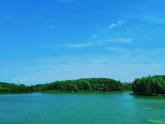 -昆山城市生态森林公园