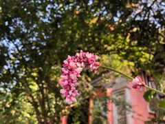 -西宁南禅寺-法幢寺