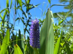 -昆山城市生态森林公园