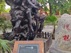 -大槐树寻根祭祖园