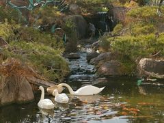 -罗红摄影艺术馆