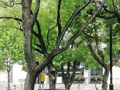 -苏州图书馆(人民路总馆)
