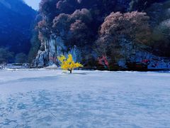 -少华山国家森林公园
