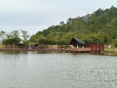 -神光山国家森林公园