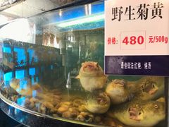 -莆鑫海鲜城(浏河店)
