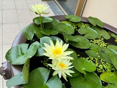 -衢农会·衢州菜·宴请(国际机场店)