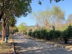 -天适樱花悠乐园