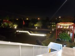-大队长大灶鹅