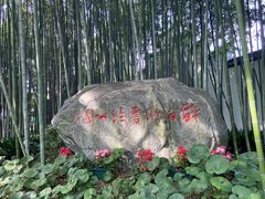 -上海醉白池公园
