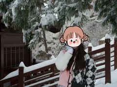 -少华山国家森林公园