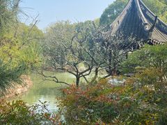 -上海醉白池公园