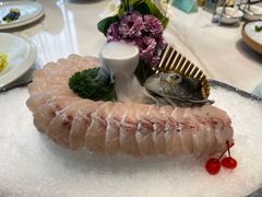 -鲐赏河豚(长寿店)