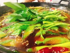 -石灰市毛记烧鸡公(解放碑店)