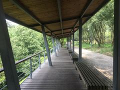 -西湖风景区-江洋畈生态公园