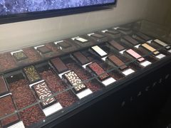 -BLACKSWAN黑天鹅(环球店)