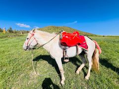 -扁都口生态休闲旅游区