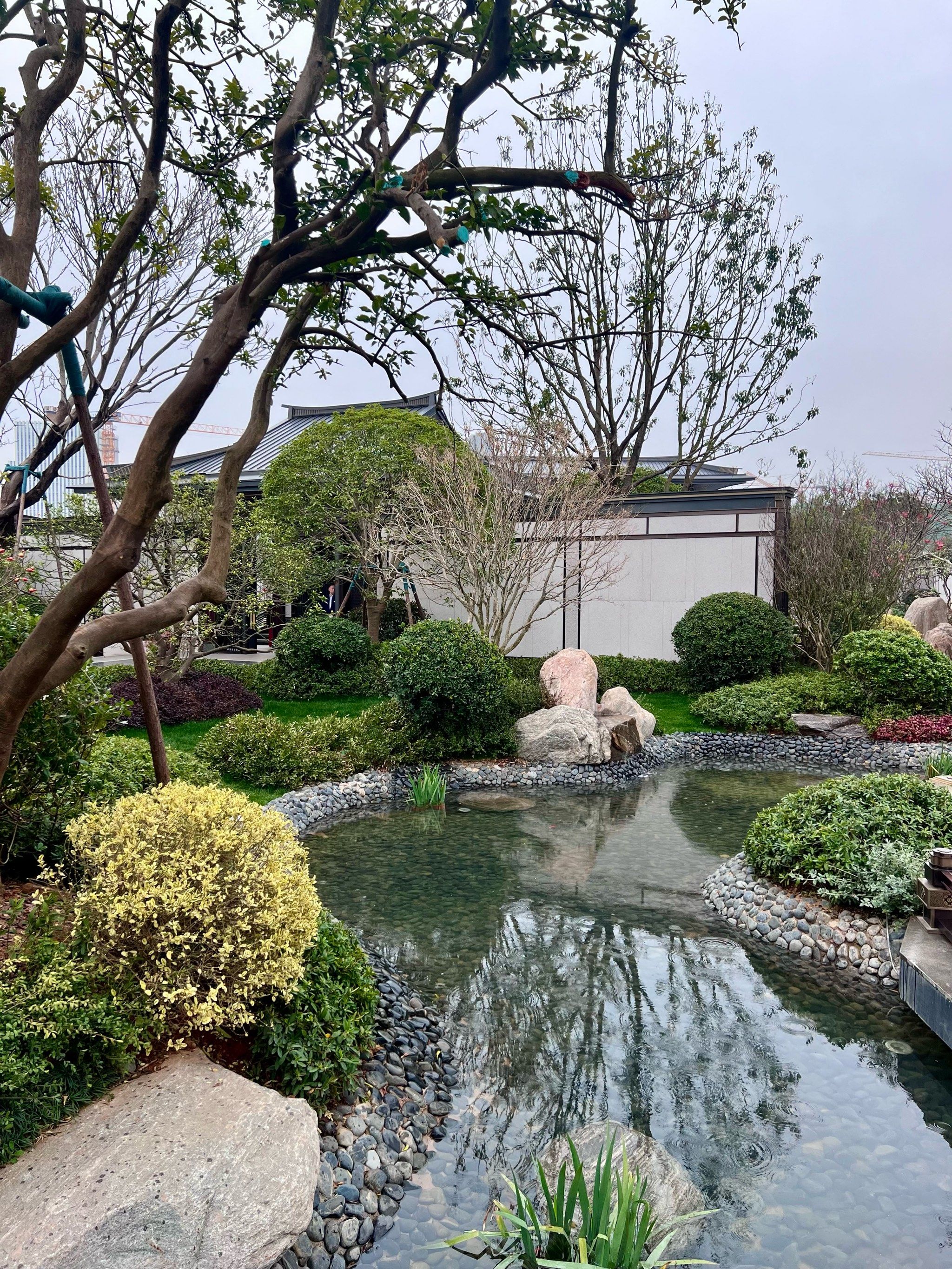 唐风园林院子完全拿捏长辈05