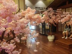 -极乐汤(川沙店)