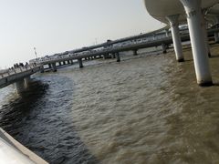 -演武大桥观景平台