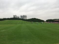 -迪茵湖田家舍生态农场