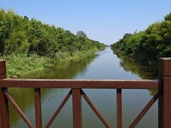 -黄海国家森林公园