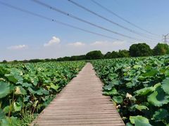 -梁鸿国家湿地公园