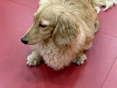 -和它·交个朋友·狗咖猫咖(爱琴海店)