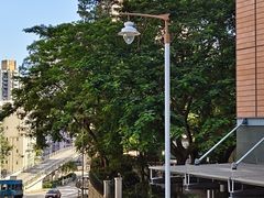 -香港大学