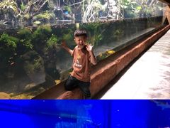 -华夏文旅海洋公园