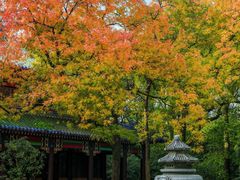 -灵谷景区